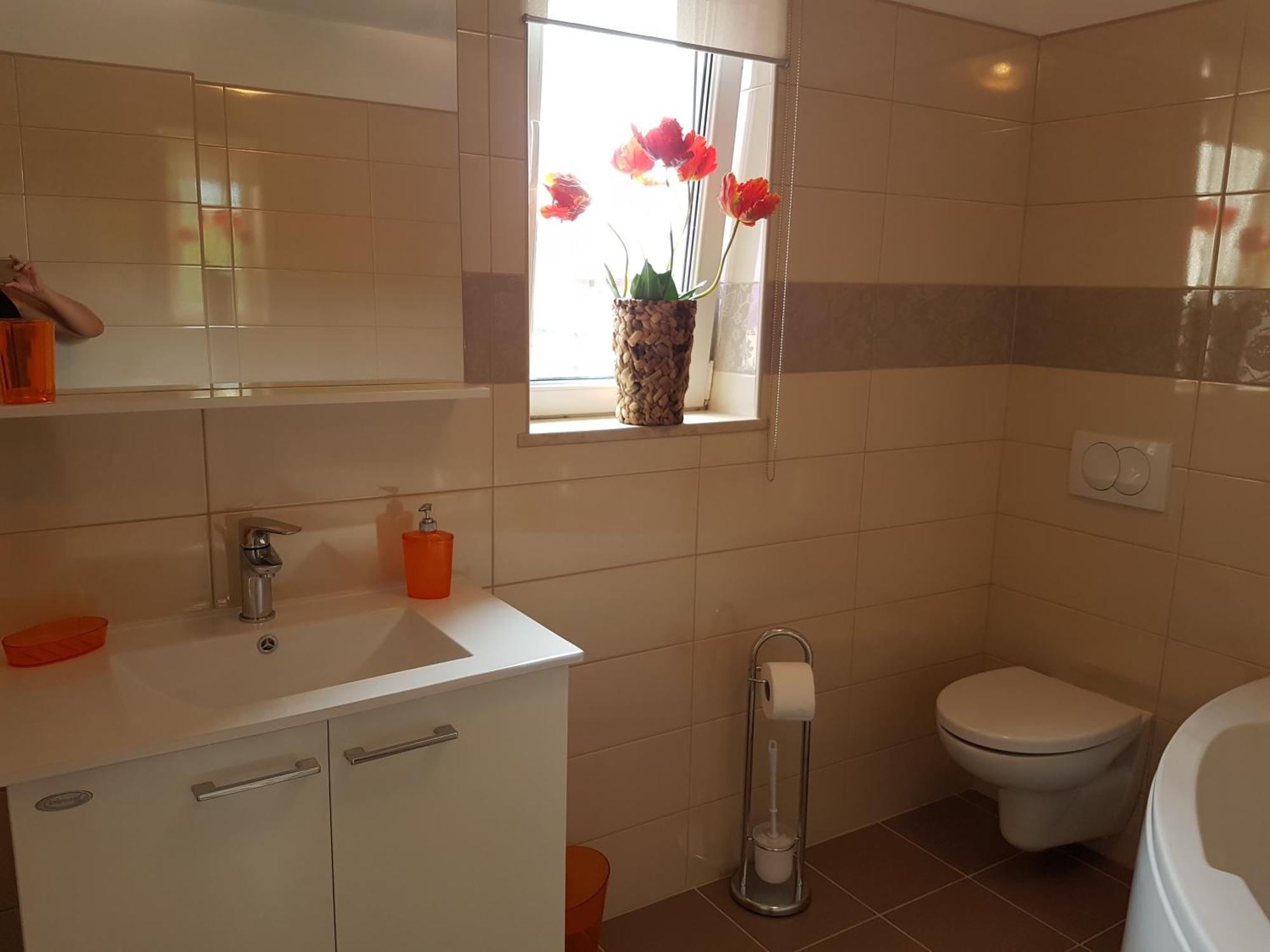 Casa Eni Apartment Drazice